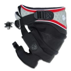 HARNAIS BUGGY PETER LYNN DIVINE SEAT